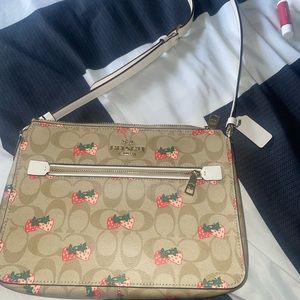 Coach Crossbody Purse